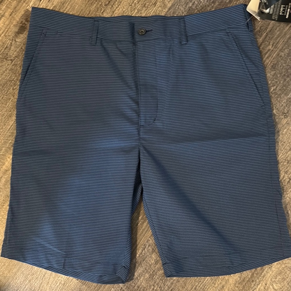 Men's Blue Striped Shorts